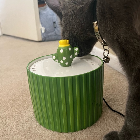 Happy and Polly Cactus Water Fountain - Picture 2 of 5